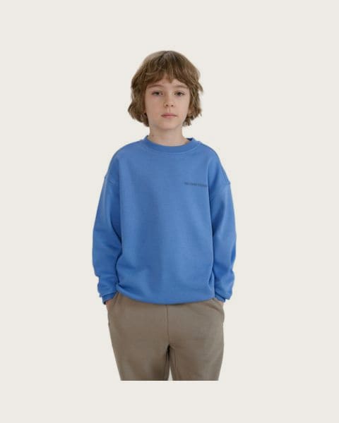 Chlapčenská mikina 4F JUNIOR SWEATSHIRT-JWSS25TSWSM1713-34S-BLUE