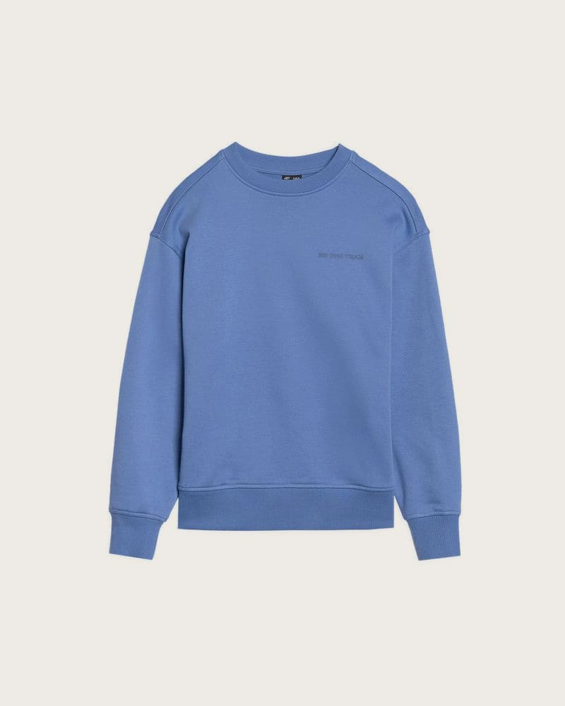 Chlapčenská mikina 4F JUNIOR SWEATSHIRT-JWSS25TSWSM1713-34S-BLUE – fotka 5