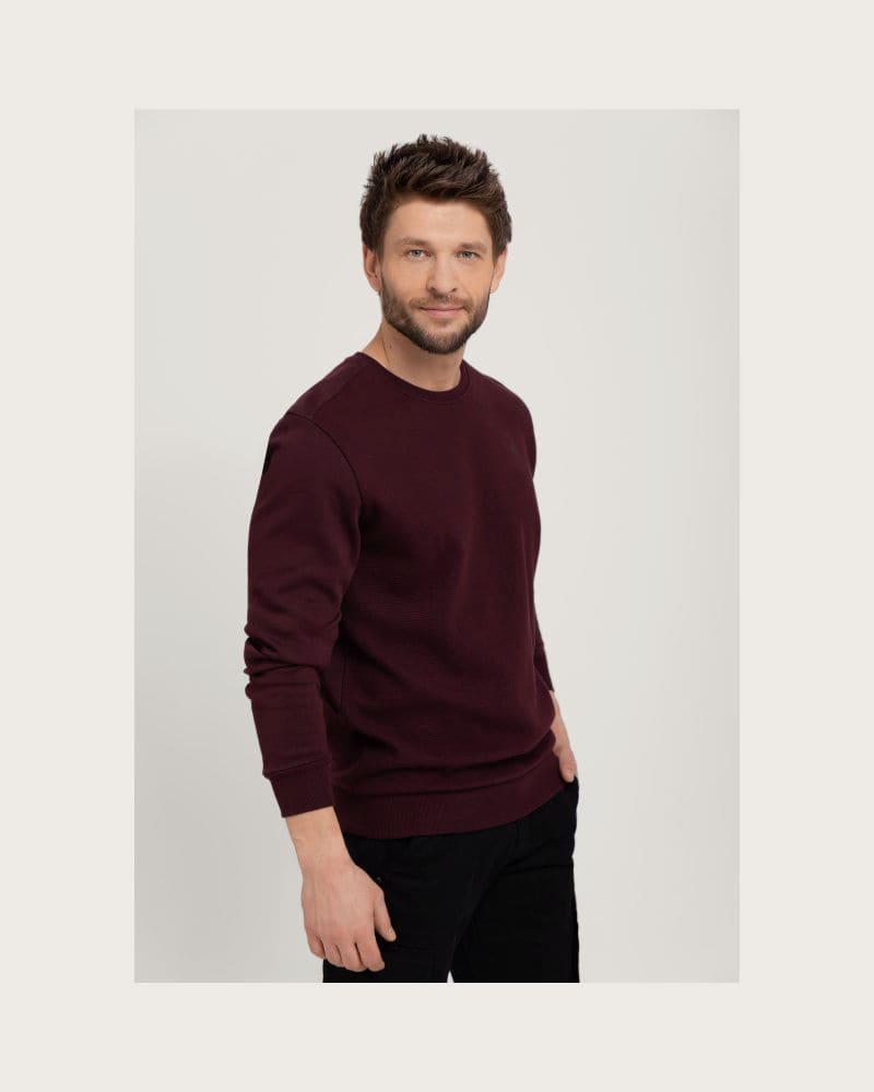 Pánska mikina VOLCANO B-KIV-403-BURGUNDY – fotka 2
