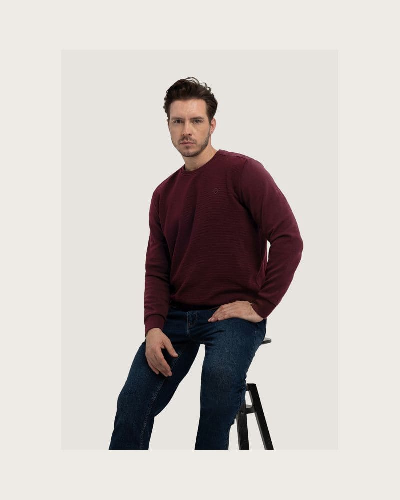 Pánska mikina VOLCANO B-KIV-403-BURGUNDY – fotka 4