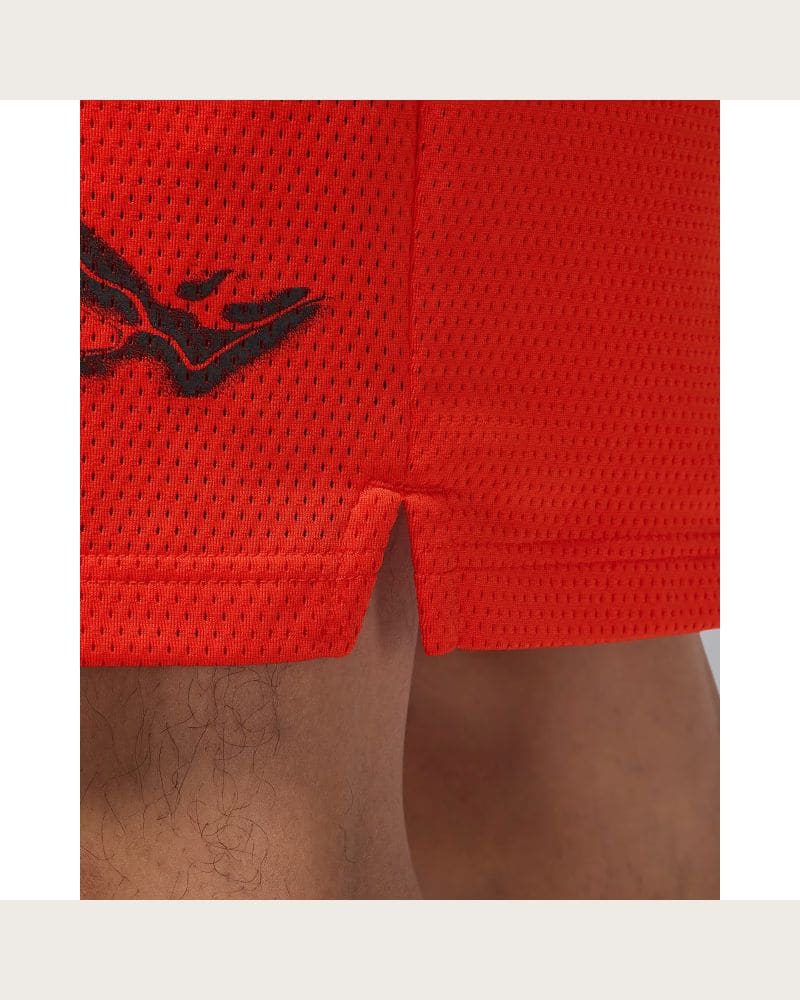 Pánske tréningové kraťasy NIKE JORDAN M DF SPRT GFX SHORT – fotka 8
