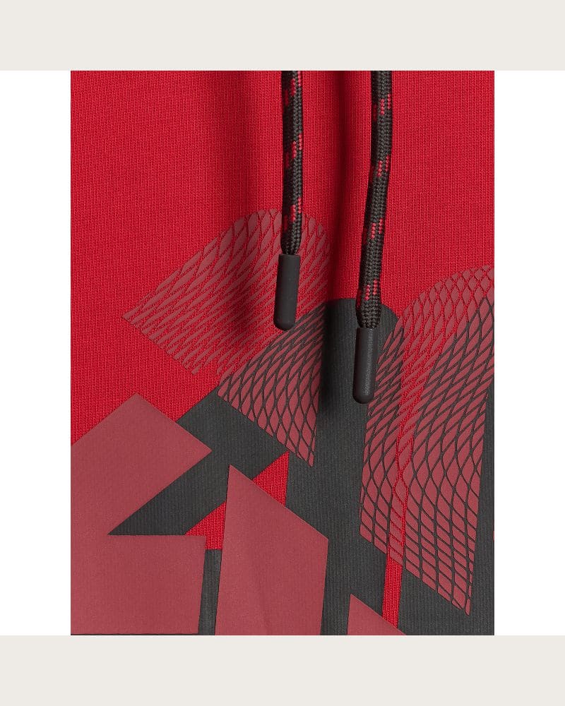 Pánska mikina s kapucňou 4F SWEATSHIRT M2241-62S-RED – fotka 4