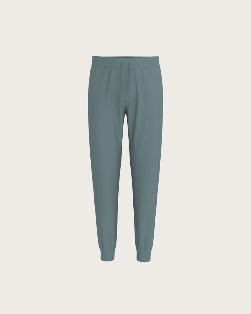ESMARA MEN Pánske tepláky (modrá, XL (56/58))