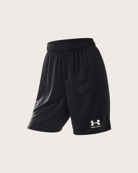 UNDER ARMOUR Pánske funkčné šortky »UA Challenger Core« (čierna, L)