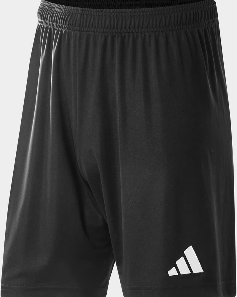 ADIDAS Pánske šortky Entrada 26 (L)