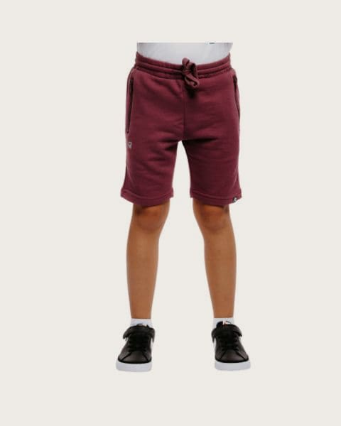 Chlapčenské kraťasy AUTHORITY TS-BASIC ZIP B bordo