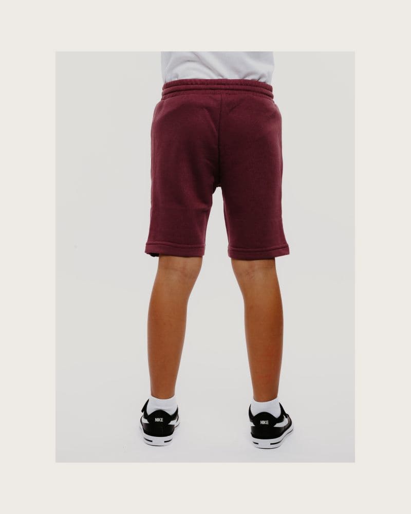 Chlapčenské kraťasy AUTHORITY TS-BASIC ZIP B bordo – fotka 4