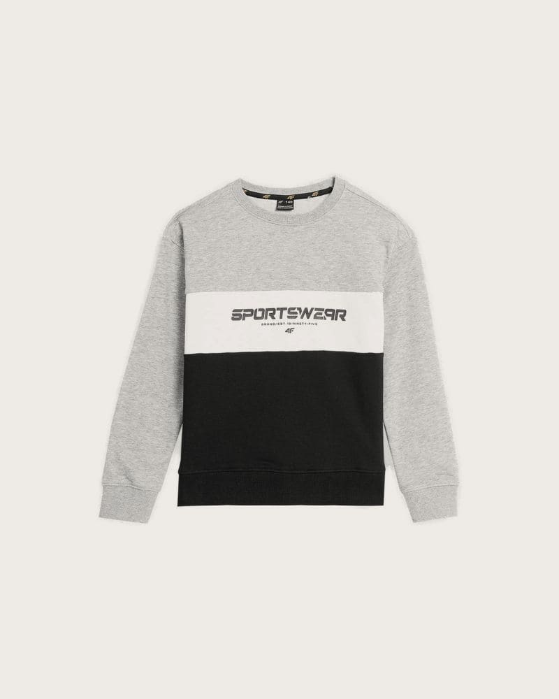 Chlapčenská mikina 4F JUNIOR SWEATSHIRT-JAW23TSWSM630-27M-COLD LIGHT GREY MELANGE – fotka 4